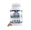 Shilajit Complete Blend Energy and Endurance Pure Shilajit Extract 60 Capsules